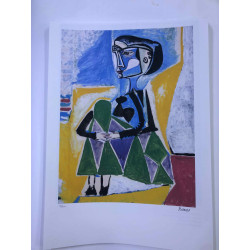 Picasso Lithografie off set 50x70 cm Museumeditie