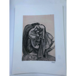 Litografia de Picasso off set 50x70 cm Edição Museu