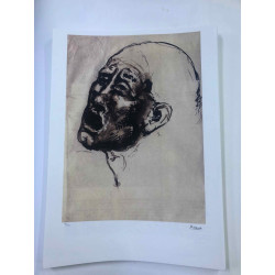 Litografía Picasso off set 50x70 cm Edición museo