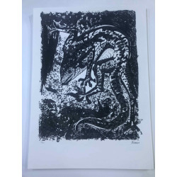 Picasso Litografía offset 50x70 cm Edición Museo