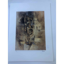 Picasso Litografía offset 50x70 cm Edición Museo