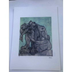 Picasso Litografía offset 50x70 cm Edición Museo