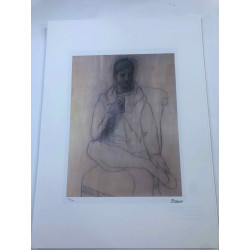 Picasso Litografía offset 50x70 cm Edición Museo