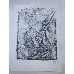 Picasso Litografia off set 50x70 cm edizione  Museo