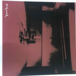 Andy Warhol Litografia off set 60x60 cm