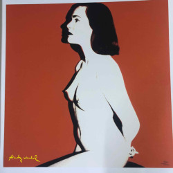 Andy Warhol Lithographie Offset 60x60 cm