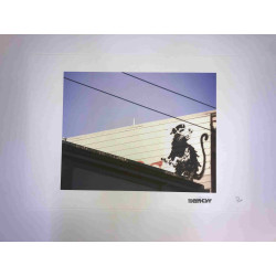 Banksy-lithografie off-set 50x35 cm handtekeningstempel POW-editie