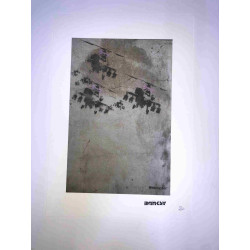 Banksy-lithografie off-set 50x35 cm handtekeningstempel POW-editie