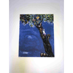 Marc Chagall litho op setformaat 50x70 cm