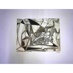 Picasso Lithografie off set 50x70 cm Museumeditie
