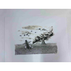 Toyen Marie Cermínova Lithografie off set 50x65 cm handtekening op plaat met certificaat