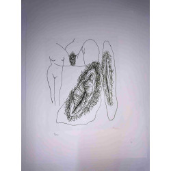 Toyen Marie Cermínova Litografia off set cm 50x65 firma su lastra con  certificato