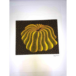 Yayoi Kusama Lithografie off set 50x65 cm handtekening op plaat met certificaat