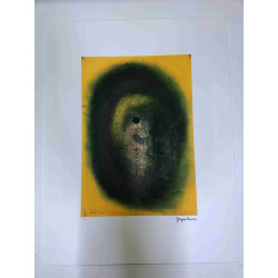Yayoi Kusama Lithografie off set 50x65 cm handtekening op plaat met certificaat