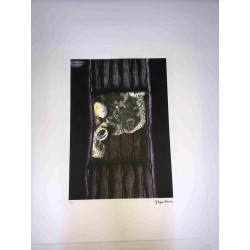 Yayoi Kusama  Litografia off set cm 50x 65 firma su lastra con certificato