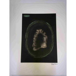 Yayoi Kusama Lithografie off set 50x65 cm handtekening op plaat met certificaat
