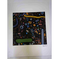 Yayoi Kusama  Litografia off set cm 50x 65 firma su lastra con certificato