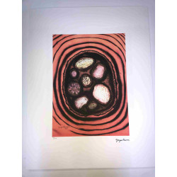 Yayoi Kusama Lithografie off set 50x65 cm handtekening op plaat met certificaat