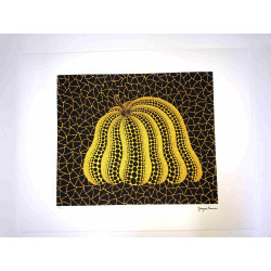 Yayoi Kusama Litografia offset 50x65 cm podpis na tanieri s certifikátom