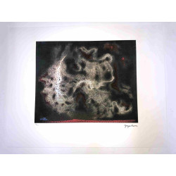 Yayoi Kusama Litografía off set 50x65 cm firma en placa con certificado