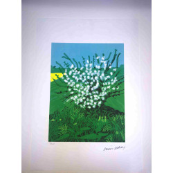David Hockney  Litografia off set cm 50x70 certificata
