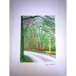 David Hockney  Litografia off set cm 50x70 certificata