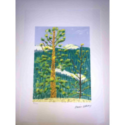 David Hockney  Litografia off set cm 50x70 certificata