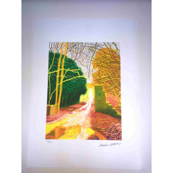 David Hockney  Litografia off set cm 50x70 certificata
