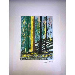 David Hockney  Litografia off set cm 50x70 certificata