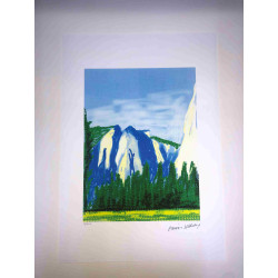 David Hockney  Litografia off set cm 50x70 certificata