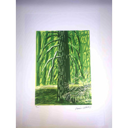 David Hockney  Litografia off set cm 50x70 certificata