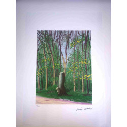 David Hockney  Litografia off set cm 50x70 certificata