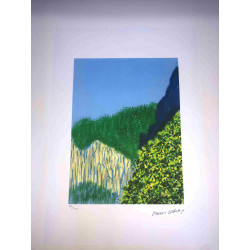 David Hockney  Litografia off set cm 50x70 certificata