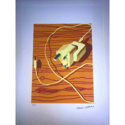David Hockney  Litografia off set cm 50x70 certificata