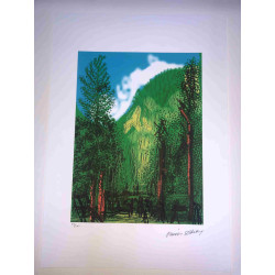 David Hockney  Litografia off set cm 50x70 certificata