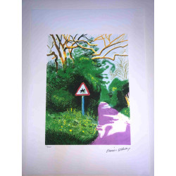 David Hockney  Litografia off set cm 50x70 certificata