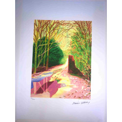 David Hockney  Litografia off set cm 50x70 certificata
