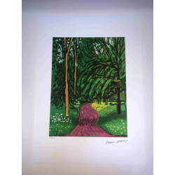 David Hockney  Litografia off set cm 50x70 certificata