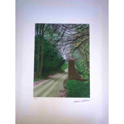 David Hockney  Litografia off set cm 50x70 certificata