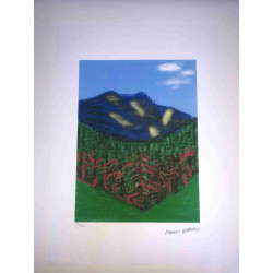 David Hockney  Litografia off set cm 50x70 certificata