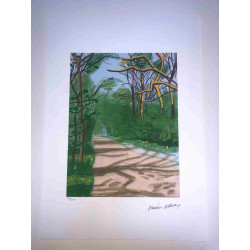 David Hockney  Litografia off set cm 50x70 certificata