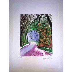 David Hockney  Litografia off set cm 50x70 certificata