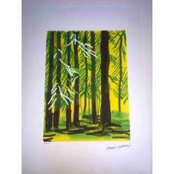 David Hockney  Litografia off set cm 50x70 certificata