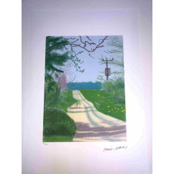 David Hockney  Litografia off set cm 50x70 certificata