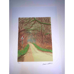 David Hockney  Litografia off set cm 50x70 certificata