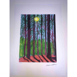 David Hockney  Litografia off set cm 50x70 certificata