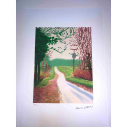 David Hockney  Litografia off set cm 50x70 certificata