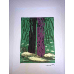 David Hockney  Litografia off set cm 50x70 certificata