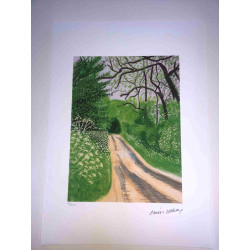 David Hockney  Litografia off set cm 50x70 certificata