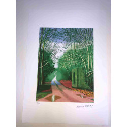 David Hockney  Litografia off set cm 50x70 certificata